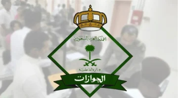 تمديد تأشيرة الزيارة بعد انتهائها: التفاصيل والشروط الحكومية المعلنة